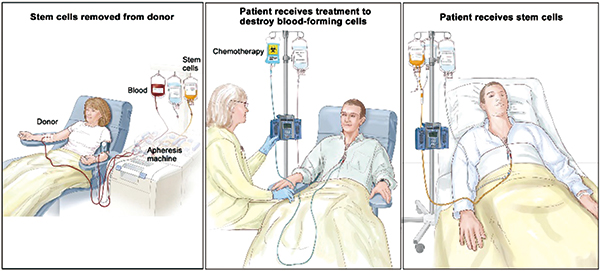 272-273期(完成版)-84.jpg