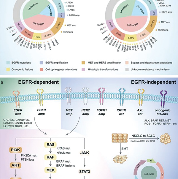 349-350期（完成）-112.jpg