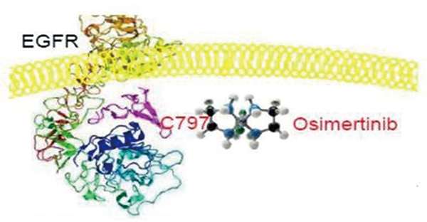 353-354期(完成)(1)-87.jpg