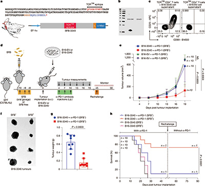 391-392期（完成）-68.jpg
